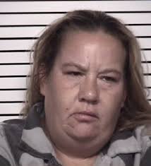 One arrested, 1 wanted after Statesville alleged drug house searched:  Sheriff