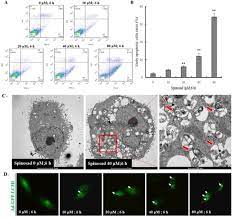 Cytotoxic Effects Of Bio Pesticide Spinosad On Human Lung A549 Cells Sciencedirect