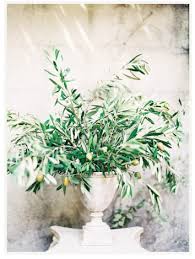Stunning Olive Branch Arrangement By Rylee Hitchner Olive Branch Wedding Branch Centerpieces Wedding Branch Centerpieces