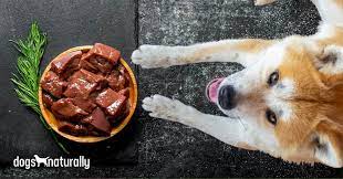 Why Your Dog Should Eat More Liver Dogs Naturally