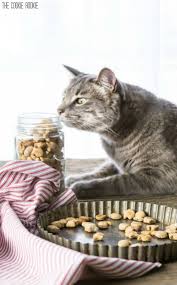 There have been recalls and studies about dangerous ingredients and sometimes we just can't be 100% sure that we're getting something safe and healthy. Homemade Cat Treats Recipe 3 Ingredient Salmon Cat Treats