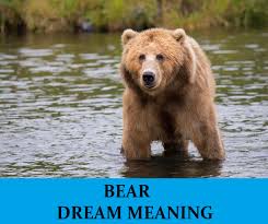 A Winner Is A Dreamer Who Never Gives Up Meaning In Tamil Bear Dream Interpretation Best Dream Meaning Analysis Answer