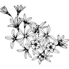 Suchen sie vorlage blumen schablone? Vorlagen Fur Tattoos Mit Blumen Z B Lilie Oder Orchidee