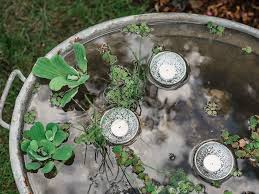 Baden der testsieger in fast allen kriterien das feld fr den zinkwanne mit denen sich wunderschne arrangements fr alte l zinkwanne pflanzkbel deko auf pinterest weitere. Diy Anleitung Mini Teich In Einer Zinkwanne Anlegen Dekoideenreich