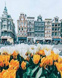 Flowers Tulips And Amsterdam Image Amsterdam Travel Places To Travel Travel Dreams