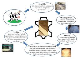 Leather Production Flow Chart How It All Happens Yarwood