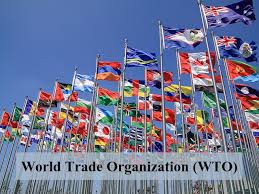 A country wishing to accede to the wto submits an application to the general council. World Trade Organization Wto What Is It And How Does It Work