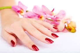 We did not find results for: Beautiful Female Hands Free Stock Photos Download 5 957 Free Stock Photos For Commercial Use Format Hd High Resolution Jpg Images