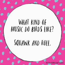 Squak And Roll Find Tons Of Great Kid Friendly Jokes On Our Instagram Account Gluedtomycraftsjokes Daily Jokes Silly Jokes Mom Jokes