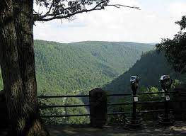 We did not find results for: View From Scenic Overlook In Colton Point State Park Pa Looking At Pine Creek Trail At