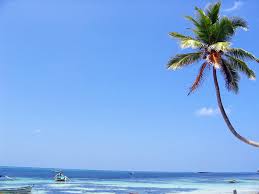 Lakshadweep means hundred thousand islands in malayalam and sanskrit. Lakshadweep Islands Definition Und Synonyme Von Lakshadweep Islands Im Worterbuch Englisch