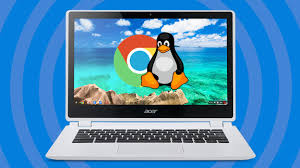 Hasil gambar untuk chrome os linux