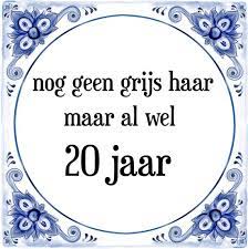 Bol Com Verjaardag Tegeltje Met Spreuk 20 Jaar Nog Geen Grijs Haar Maar Al Wel 20 Cadeau