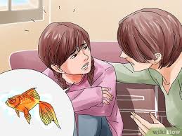 How To Overcome The Death Of A Fish 12 Steps With Pictures Fish, fish bones, gold fish, dead, sad. how to overcome the death of a fish 12