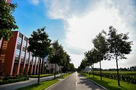 Absolvenţii dobândesc calificări pentru a răspunde ceriţelor pieţei forţei de muncă. Universitatea De ÈtiinÈe Agronomice Èi MedicinÄ VeterinarÄ BucureÈti Universitati In Sapte Seri