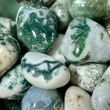 Image result for Agate