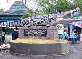 Perawatan secara gaib sangatlah mudah, cukup menyandingkan minyak perawatan pusaka dan membuka penutupnya. Rekomendasi Weekend Ke Taman Buaya Bersama Keluarga Swara Siswa