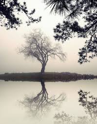 Black And White Landscape Photography Nature Pin By Thereron On Art To Inspire You Landscape Photography Landscape Pictures Black And White Landscape