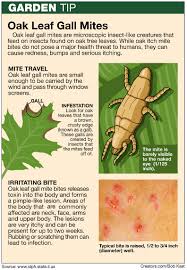 Pin On Health Fyi