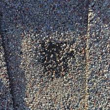 We did not find results for: Hail Damage Roof Inspection Guide With Pictures