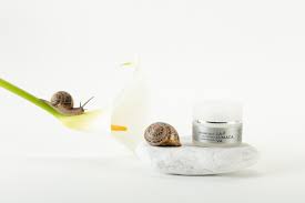 Aiuta snail bob su un'isola deserta piena di puzzle, avventure e divertimento. Allevamento Lumache Marche La Lumaca Va Prodotti Gastronomici E Cosmesi A Base Di Bava Di Lumaca