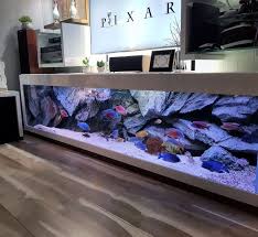 acuario de ciclidos de malawi haps decorado con fondo aquadecor 3d aquarium backgrounds cichlid aquarium aquarium