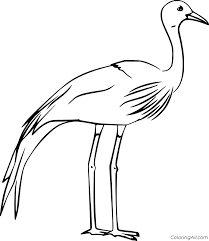For boys and girls, kids and adults, teenagers and toddlers, preschoolers and older kids at school. Realistic Blue Crane Coloring Page Coloringall