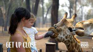 All tickets are valid for 12 months from the date of purchase. Taronga Western Plains Zoo Dubbo Dubbo Visitnsw Com