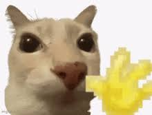 Hello Meme GIFs | Tenor