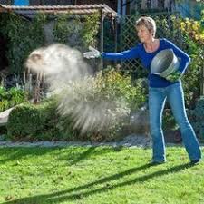 Moos Dauerhaft Entfernen So Wird Ihr Rasen Wieder Schon Mit Bildern Garten Pflanzen Krautergarten Design Garten
