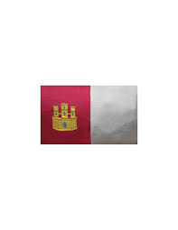 We did not find results for: Bandera De Castilla La Mancha En Raso De Alta Calidad