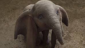 Doug gives his take on the live action remake dumbo.dumbo is a 2019. Dumbo Generations Tv Spot