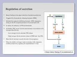 Prolactin Hormone