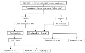 Multilaboratory Validation Of Rapid Spot Tests For