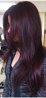 Brown Purple Red Brown Purple Red Source By Lucindatravalin In 2020 Hair Color Purple Trendy Hair Color Hair Shades