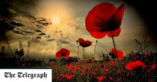 We are going to mention one more secret message that can be related to the poppy flower. Armistice Day 2020 Poppies Commemorations And Why The Act Of Remembrance Matters