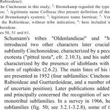 Image result for Sericanthe leonardii