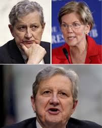 Elizabeth Warren SCREAMS at Sen. Kennedy