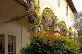 Interno verde, alla ricerca dei giardini segreti di parma sabato 5 e domenica 6 giugno un festival per scoprire piccoli corti fiorite e angoli rigogliosi 14 aprile 2021 2 minuti di lettura Interno Verde Da Ferrara Approda A Parma Estense Com Ferrara