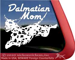 Dalmatian Mom