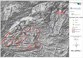 Image result for Tristachya lualabaensis