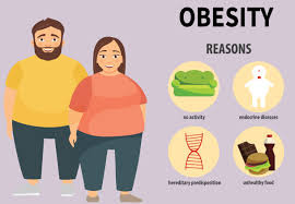 Image result for Obesity