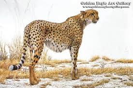Cheetah Profile Artwork By Robert Bateman Art Artwork Robertbateman Painting Big Cats Art Wildlife Artists Wildlife Artwork