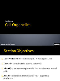 We did not find results for: 3 3 Cell Organelles Ppt 1193949429900273 1 Cell Biology Cell Membrane