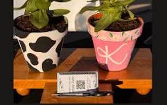 FLOWERPOT PAINT & SIP