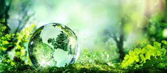 El medio ambiente en todo el mundo está siendo víctima de ataques directos e indirectos para el año 2020 el tema principal a ser abordado el día mundial del medio ambiente es la biodiversidad. Dia Mundial Del Medio Ambiente 3 Motivos Para Celebrarlo Endesa X Endesa X