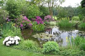 Gartenteich Bepflanzen So Schaffen Sie Einen Schonen Ubergang Gartenteich Bepflanzen Garten Bepflanzung