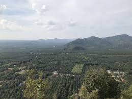 Jangan degil, sila ikut arahan untuk elakkan sebarang perkara yang tidak diingini. Bukit Payung Batu Pahat Loop Johor Malaysia Alltrails