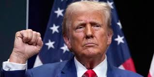 Garry Pierre-Pierre: The Haitian government 'is unable to provide  leadership'