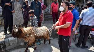 Ist islamisches opferfest ein feiertag? Hochster Festtag Des Islam Was Das Opferfest Bedeutet Mdr De